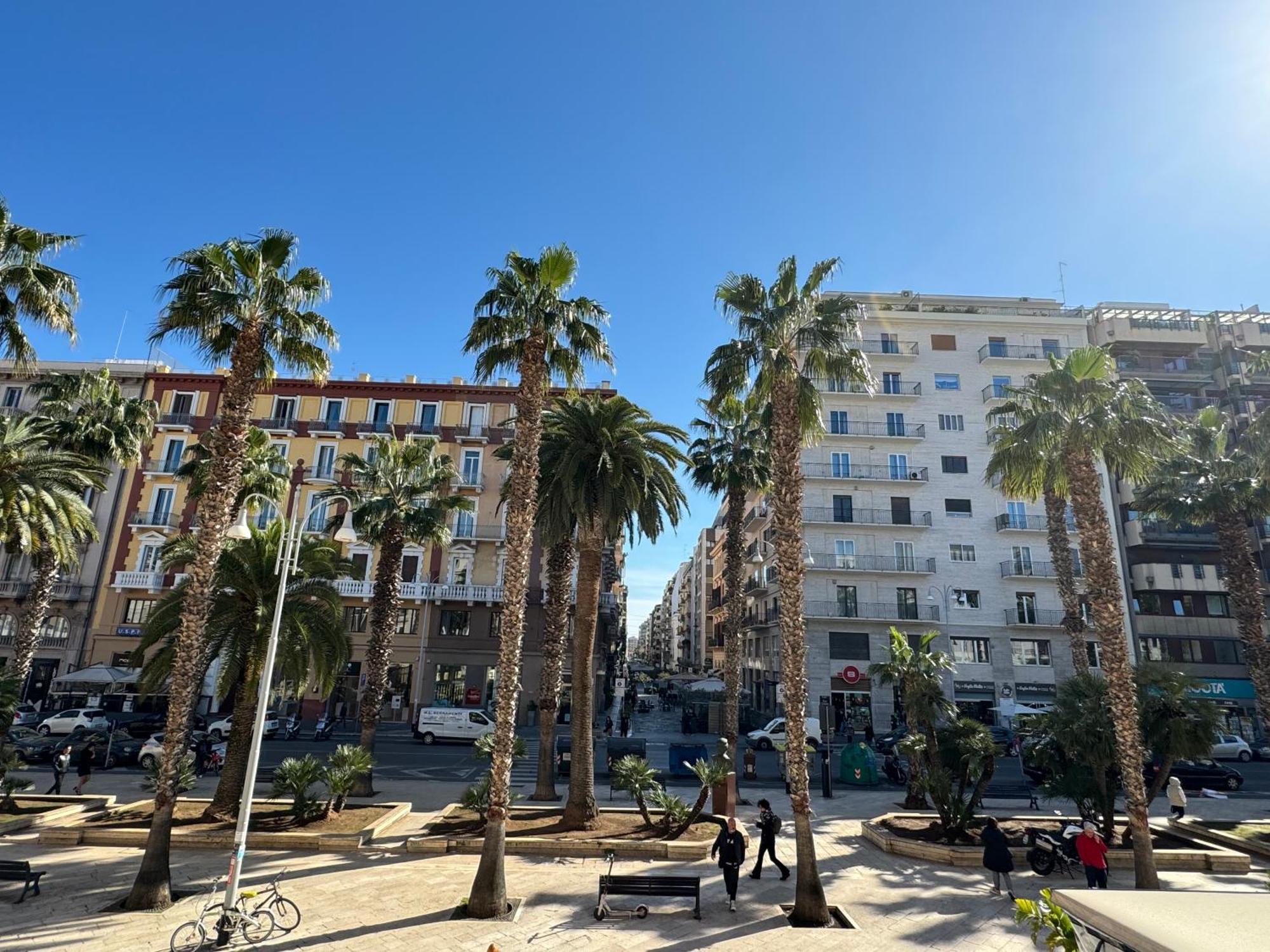Palm Central House バーリ エクステリア 写真